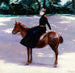 Mademoiselle Meuriot sur son poney - Jacquesmile Blanche — artwork view