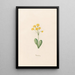 Baernobren - Magdalena Rosina Funck — framed artwork on a wall