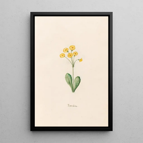 Baernobren - Magdalena Rosina Funck — framed artwork on a wall