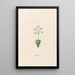 Baerobren - Magdalena Rosina Funck — framed artwork on a wall
