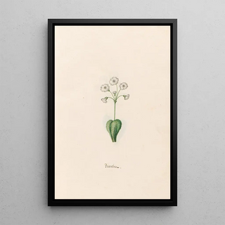 Magdelena Rosina Funck - Baerobren.webp