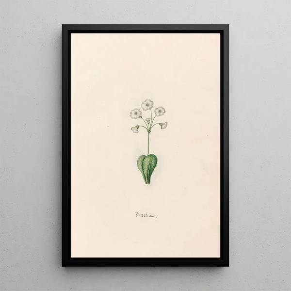 Baerobren - Magdalena Rosina Funck — framed artwork on a wall