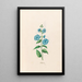Blattaria - Magdalena Rosina Funck — framed artwork on a wall