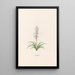 Botrdes - Magdalena Rosina Funck — framed artwork on a wall
