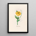 Poppy Burned - Magdalena Rosina Funck — framed artwork on a wall