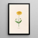 Calentla - Magdalena Rosina Funck — framed artwork on a wall