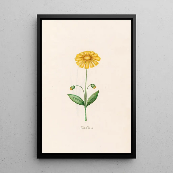 Calentla - Magdalena Rosina Funck — framed artwork on a wall