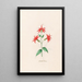 Flower of the cardinal - Magdalena Rosina Funck — framed artwork on a wall