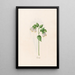 Cérinthe - Magdalena Rosina Funck — framed artwork on a wall