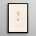 Crocs - Magdalena Rosina Funck — framed artwork on a wall