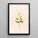 Flower of Sorrow - Magdalena Rosina Funck — framed artwork on a wall