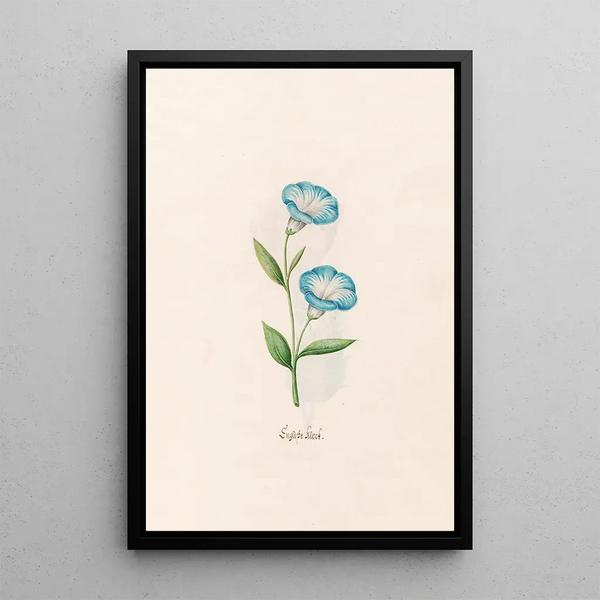 English clock painting - Magdalena Rosina Funck — framed artwork on a wall