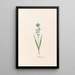 Jacinthe choisie - Magdalena Rosina Funck — framed artwork on a wall