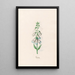 Digital Painting - Magdalena Rosina Funck — framed artwork on a wall