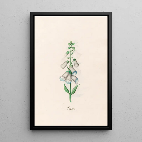 Digital Painting - Magdalena Rosina Funck — framed artwork on a wall
