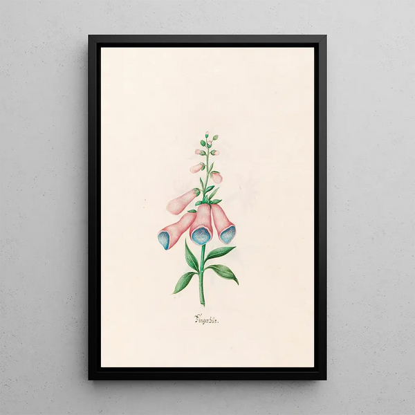 Digital Painting - Magdalena Rosina Funck — framed artwork on a wall