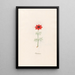 Fleur d'Adonis - Magdalena Rosina Funck — framed artwork on a wall