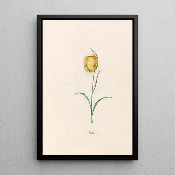 Fritillary Painting - Magdalena Rosina Funck — framed artwork on a wall