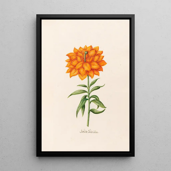 Fairy Lily Painting double - Magdalena Rosina Funck — framed artwork on a wall