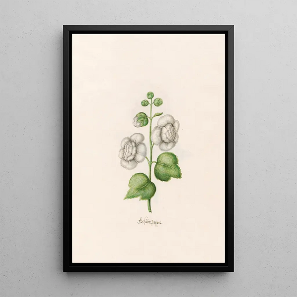 Poplar Double Painting - Magdalena Rosina Funck — framed artwork on a wall