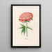 Peony Double Painting - Magdalena Rosina Funck — framed artwork on a wall