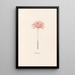 Colchique double - Magdalena Rosina Funck — framed artwork on a wall