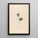 Violette double - Magdalena Rosina Funck — framed artwork on a wall