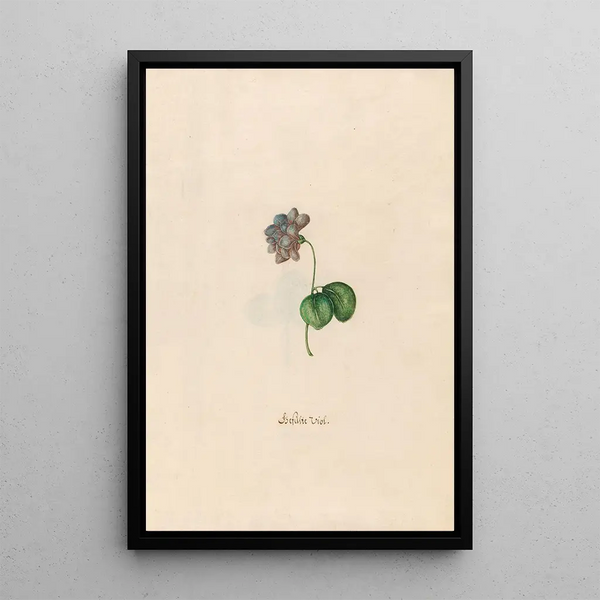 Violette double - Magdalena Rosina Funck — framed artwork on a wall