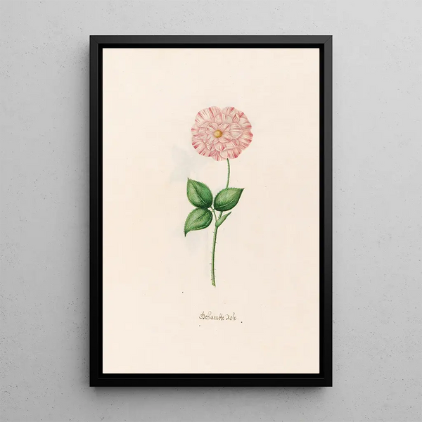 Amber Pink Painting - Magdalena Rosina Funck — framed artwork on a wall