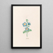 Geranium - Magdalena Rosina Funck — framed artwork on a wall