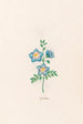 Geranium - Magdalena Rosina Funck — artwork view