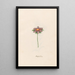 Flower of Happiness - Magdalena Rosina Funck — framed artwork on a wall