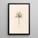 Colchic Gray Painting - Magdalena Rosina Funck — framed artwork on a wall