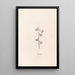 Hyacinths - Magdalena Rosina Funck — framed artwork on a wall