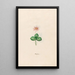 Hepatic Painting - Magdalena Rosina Funck — framed artwork on a wall