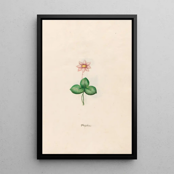 Hepatic Painting - Magdalena Rosina Funck — framed artwork on a wall