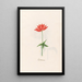 Autumn Anemone - Magdalena Rosina Funck — framed artwork on a wall