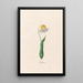 Dent de chien - Magdalena Rosina Funck — framed artwork on a wall