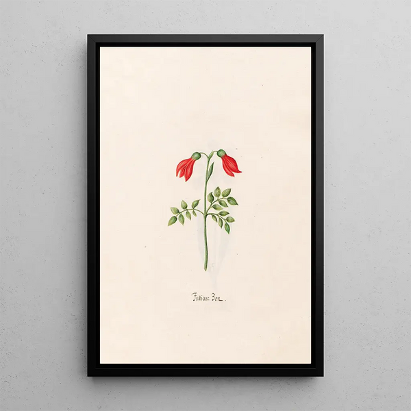 Indian Bean Painting - Magdalena Rosina Funck — framed artwork on a wall