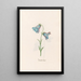 Indian Bell Painting - Magdalena Rosina Funck — framed artwork on a wall