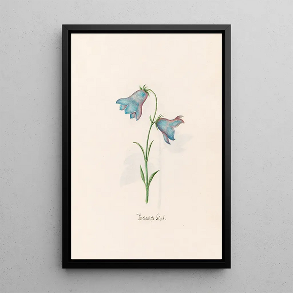 Indian Bell Painting - Magdalena Rosina Funck — framed artwork on a wall
