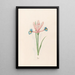 Iris Painting - Magdalena Rosina Funck — framed artwork on a wall