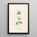 Garden in Bloom - Magdalena Rosina Funck — framed artwork on a wall