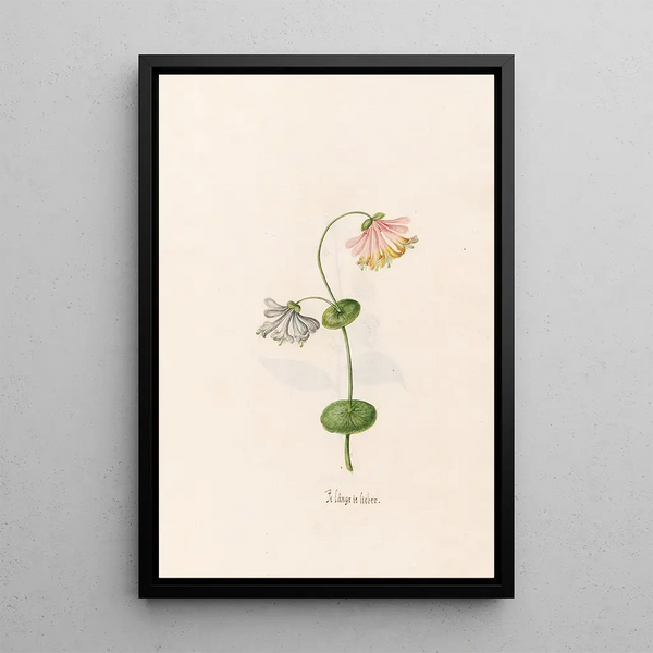 I prefer the ingrie - Magdalena Rosina Funck — framed artwork on a wall