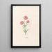 Leucojum - Magdalena Rosina Funck — framed artwork on a wall