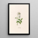Age of Love - Magdalena Rosina Funck — framed artwork on a wall