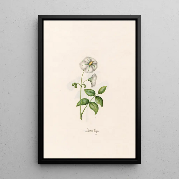 Age of Love - Magdalena Rosina Funck — framed artwork on a wall