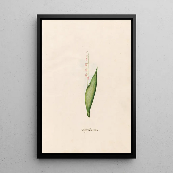Petite fleur de mai - Magdalena Rosina Funck — framed artwork on a wall