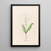 Petite fleur de mai - Magdalena Rosina Funck — framed artwork on a wall