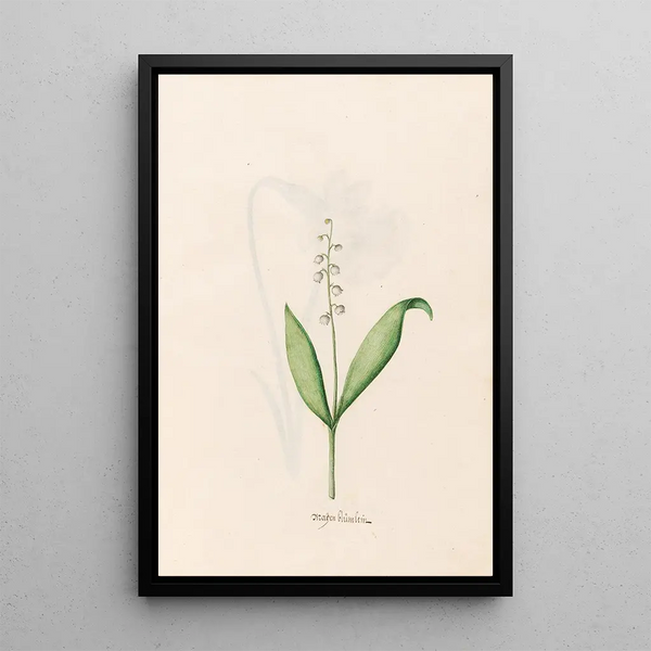 Petite fleur de mai - Magdalena Rosina Funck — framed artwork on a wall